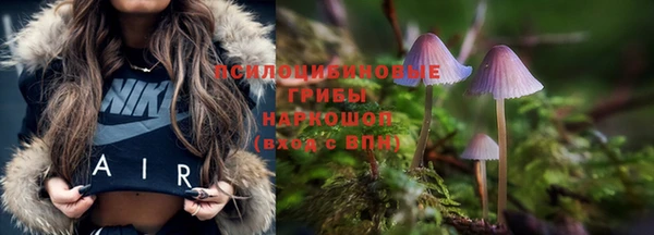 хмурый Армянск
