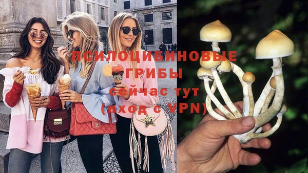 соль курить ск Аркадак