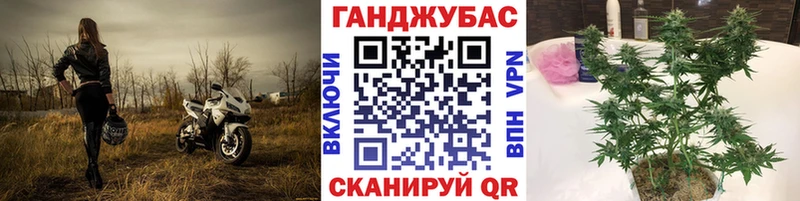 закладка  Истра  Каннабис Ganja 